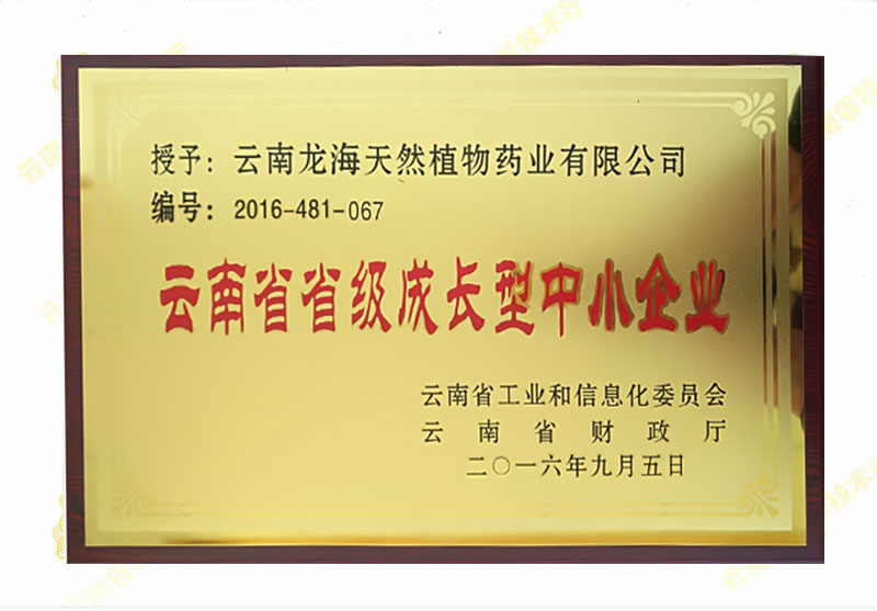 云南省省級(jí)成長型中小企業(yè)
